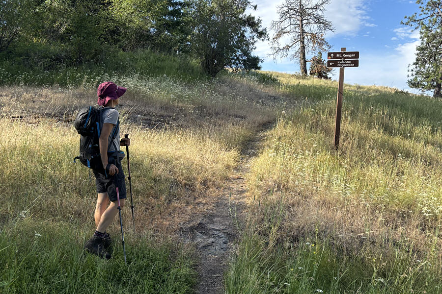 Zosia has been to Iceland, so there's that!