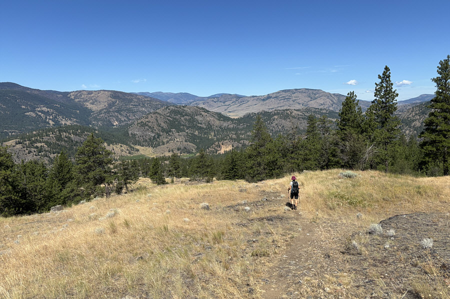 Ugh, the sun is becoming unbearable!