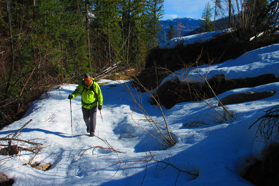 Wish we had brought our skis!