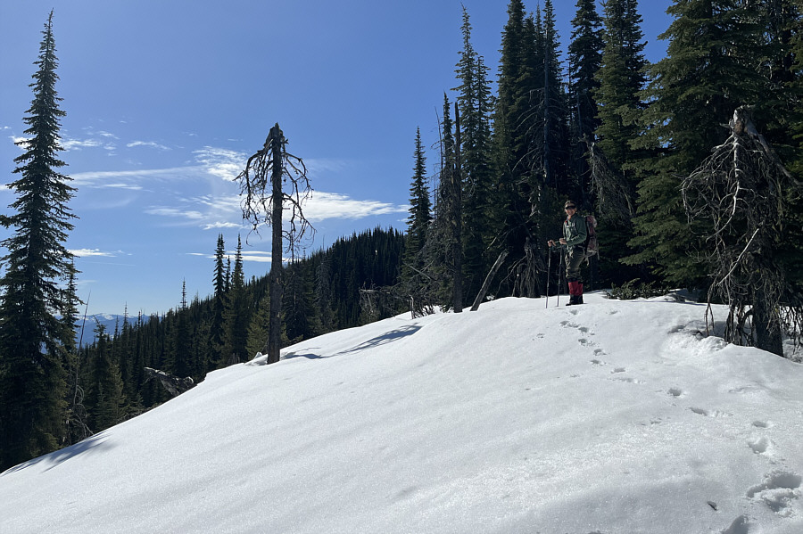 Good yo-yo slope here!