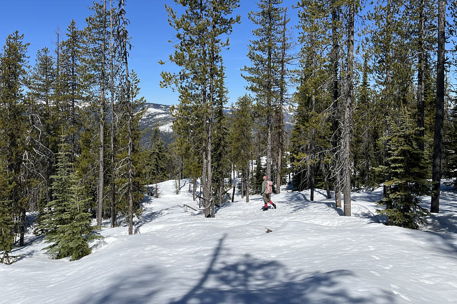 We got lucky and avoided post-holing for the most part.