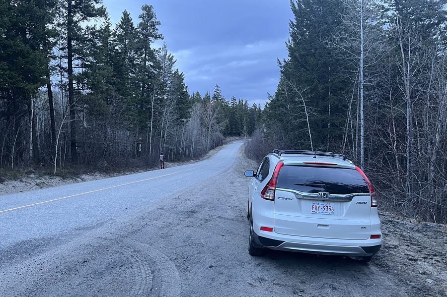 Look both ways before crossing the road!