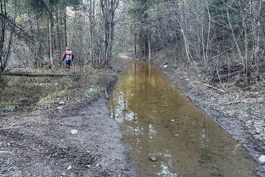 Should've brought a kayak!