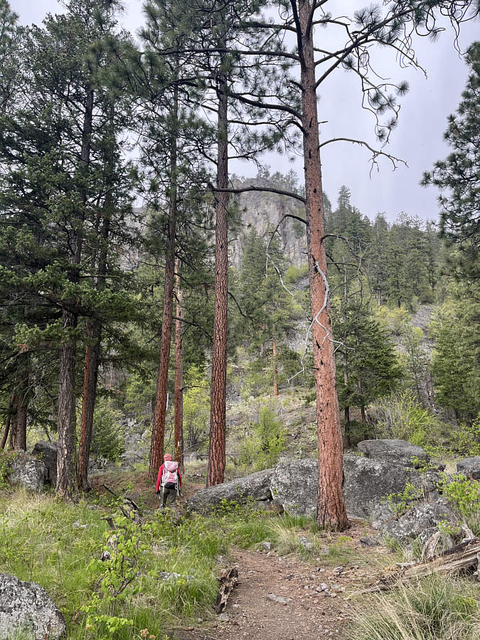 More interesting than Mount Law for sure!