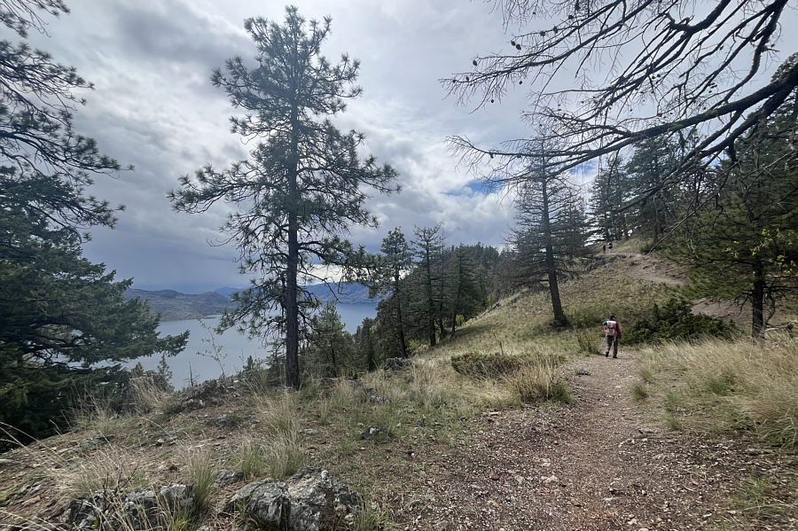 Looks like a forested summit with no views...