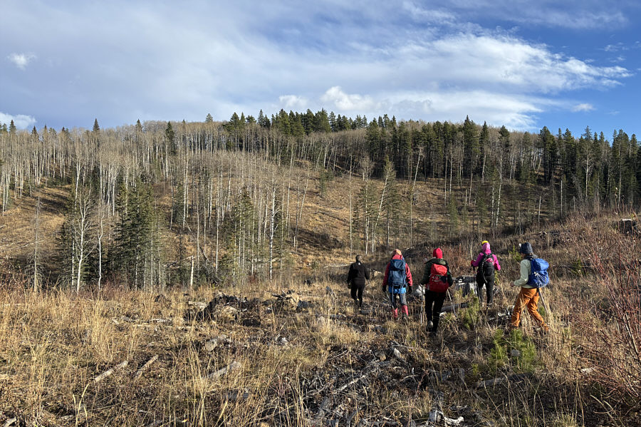 We took the long and difficult way back!