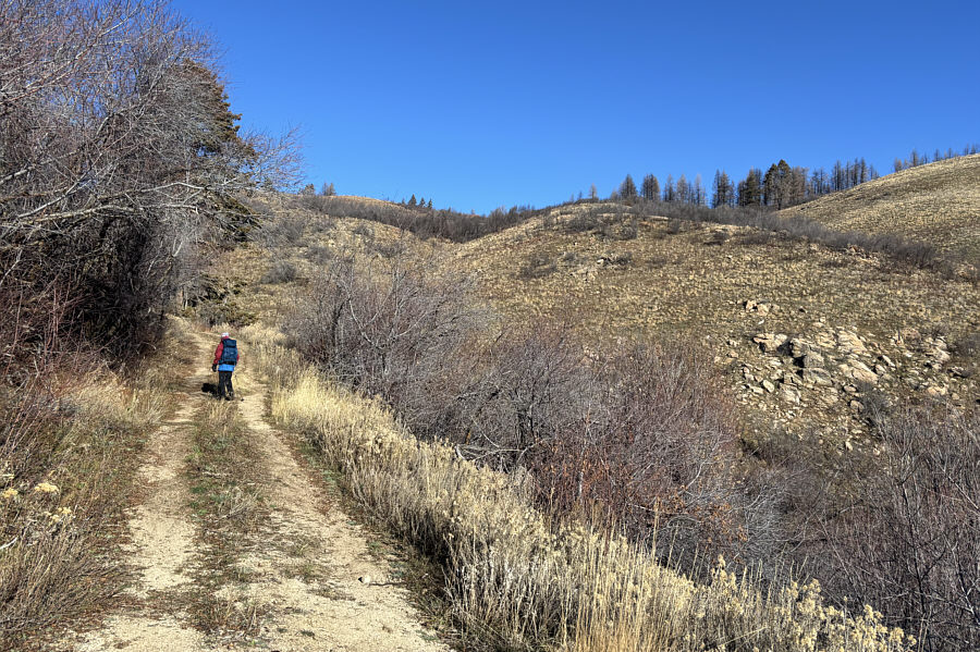 There were some deer on the hillside at right.