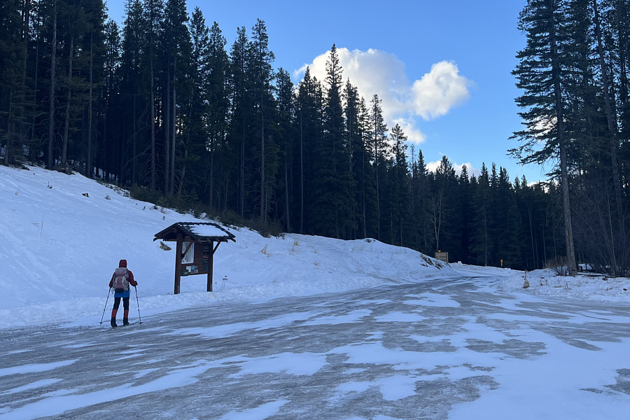 Why no toilets here?