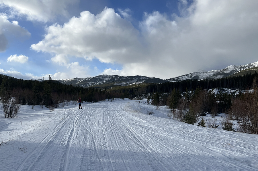 Might be worth checking out in the summer...