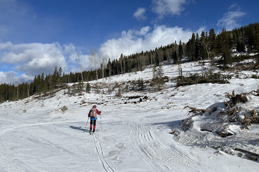 Forgot to bring my hotdog!