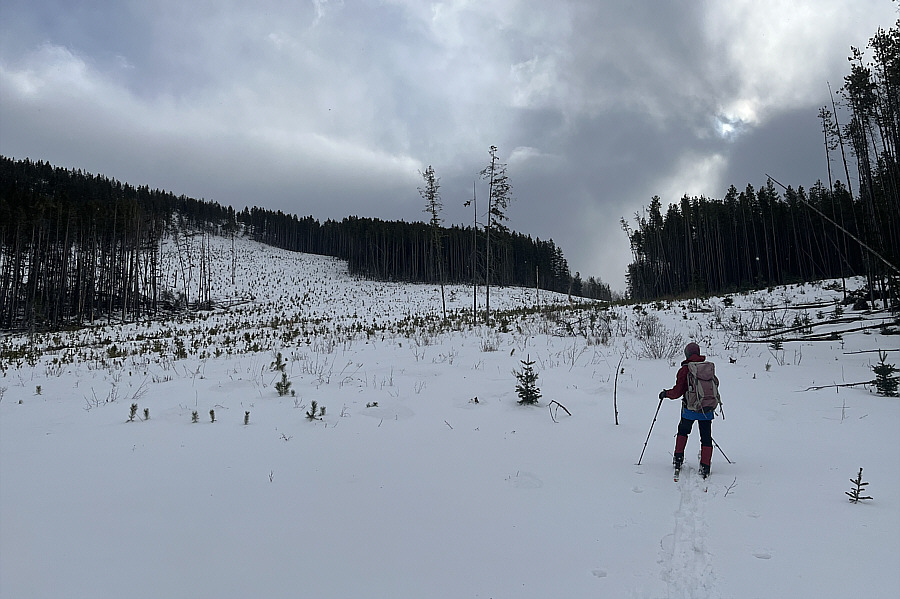 Time to slap on the climbing skins!