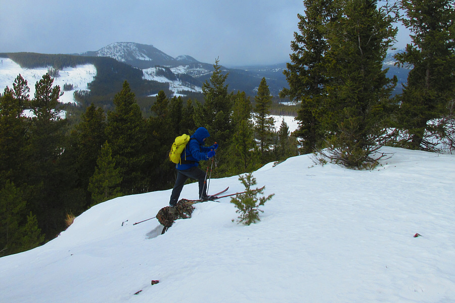 Might have been easier to walk up!