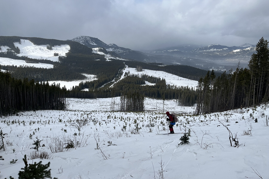 Not bad but would be great with more fresh powder!