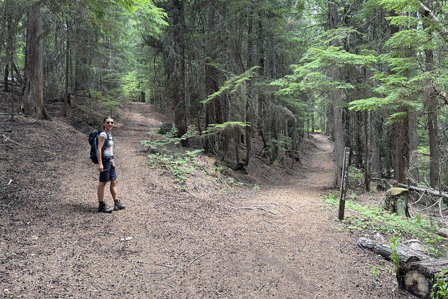 Shall I quote Robert Frost again?