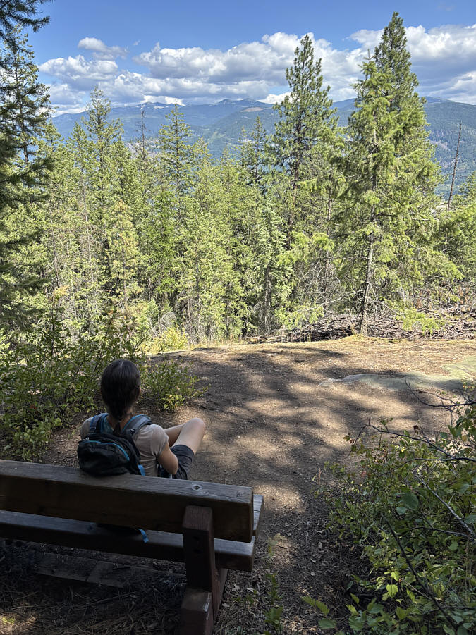 Someone should chainsaw a few of the trees here!