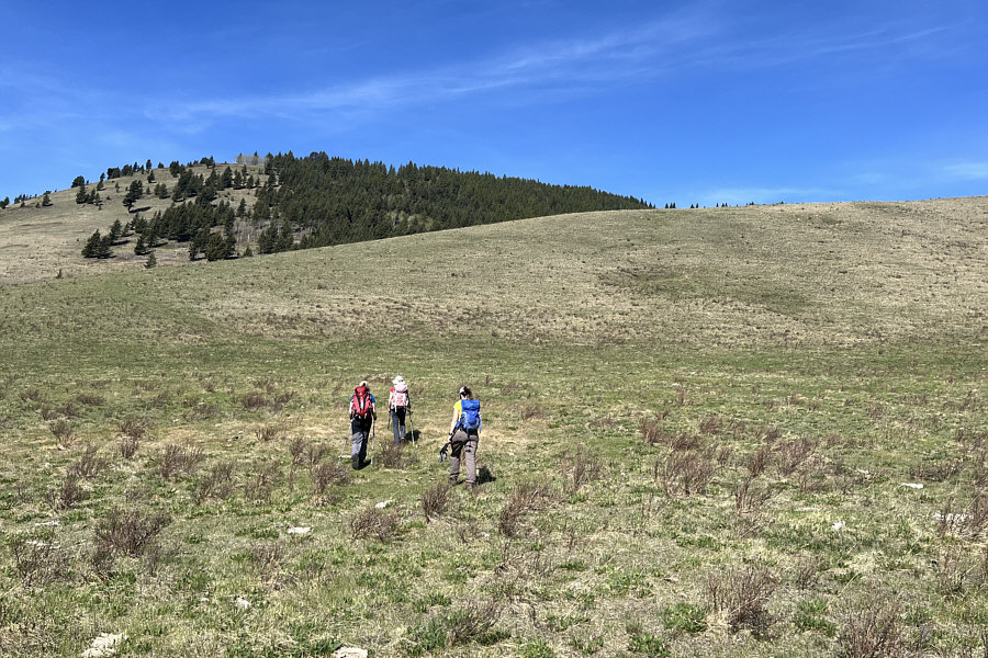 If there is enough snow, this would be a good ski slope in winter!