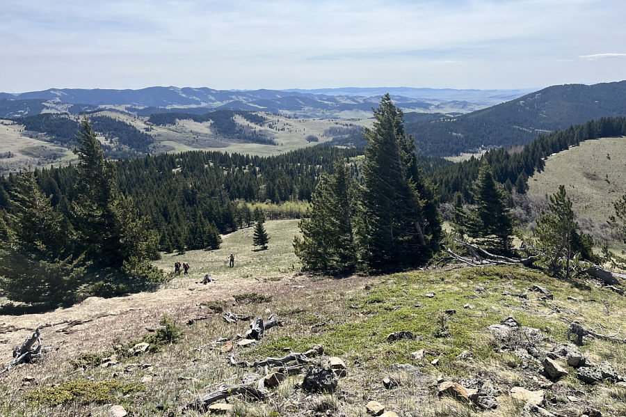 Maybe we should just order a pizza...