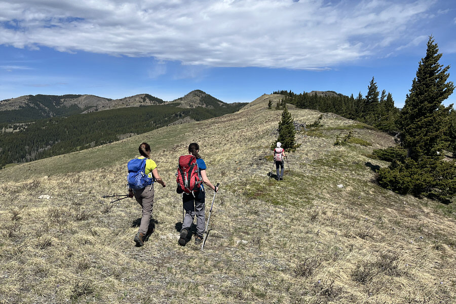 Looks like there is someone up ahead...