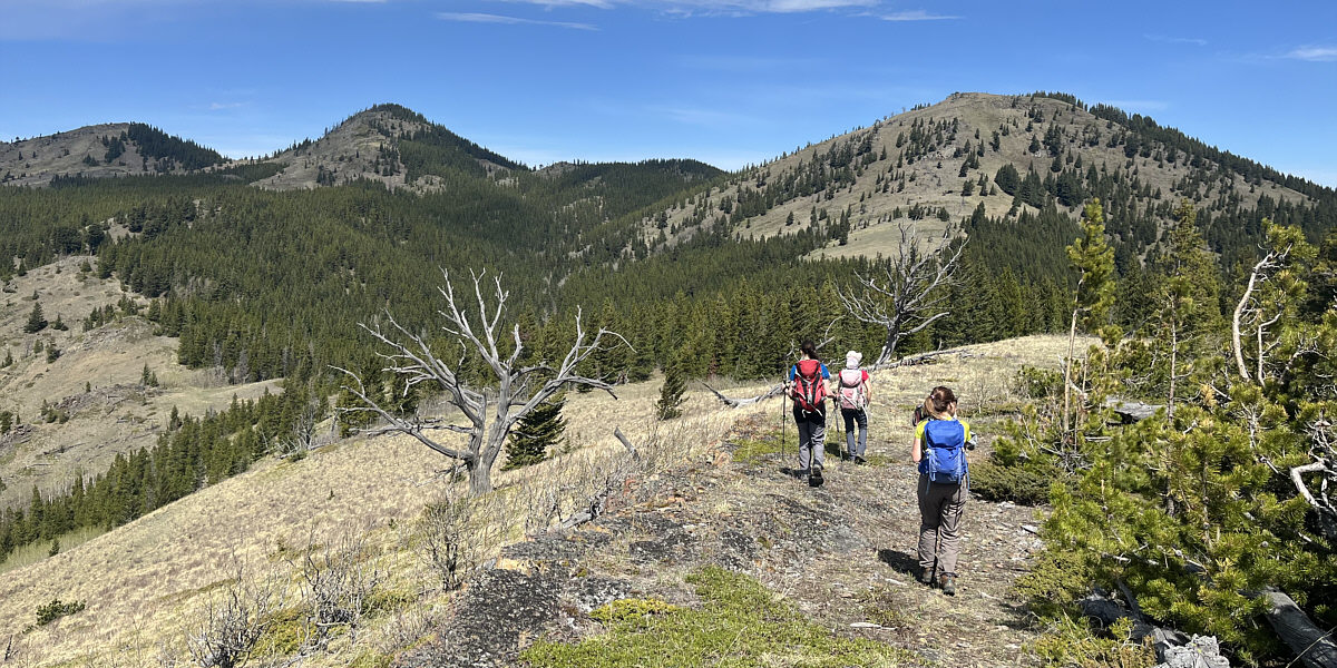 The hunter spotted a bear and cubs on the right bump--we would give it a miss on this day!