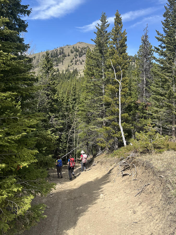 This was a big mistake on my part--sorry!