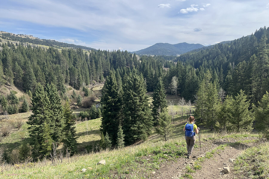 Still some creek crossings and annoying uphills!