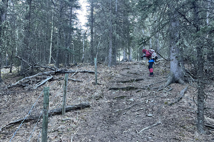 We had to squeeze through the barbed wire to get on this side of the fence!