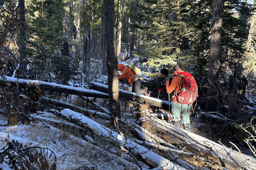 Generally, the bushwhacking is not bad.