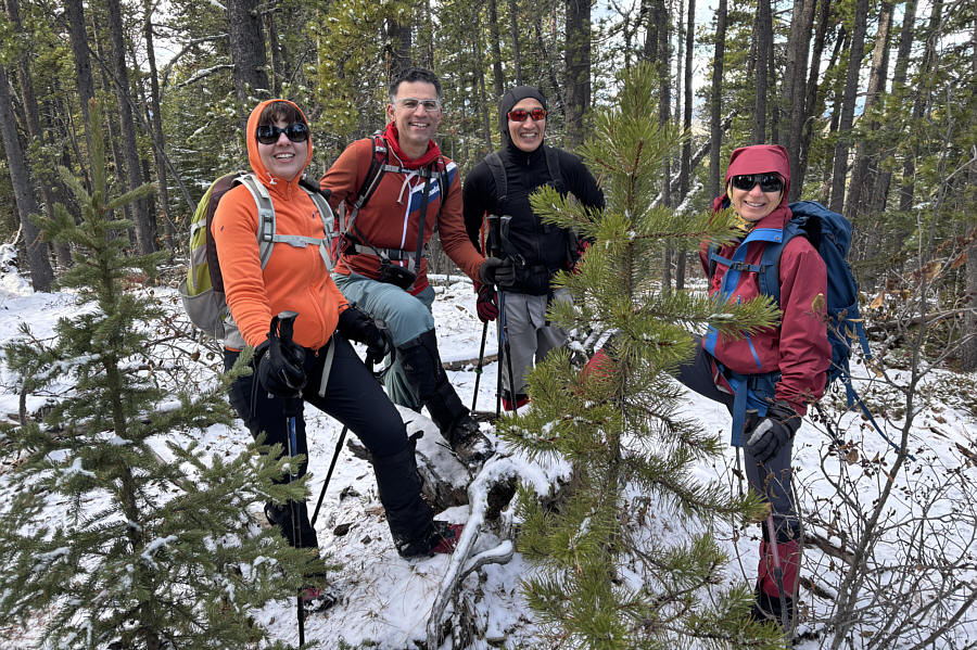 Maybe they need to log the top of Ole Buck Mountain so we can clearly see where the true summit is located!