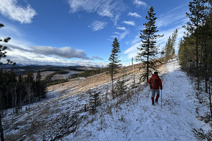 Wasn't expecting this!