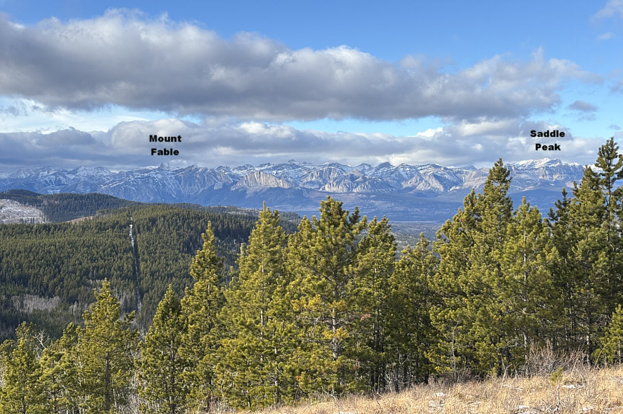 Yam really sticks out!