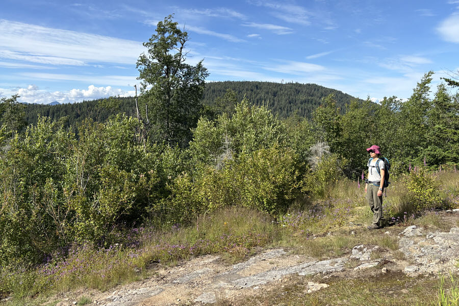 Yeah, can't wait to get there!