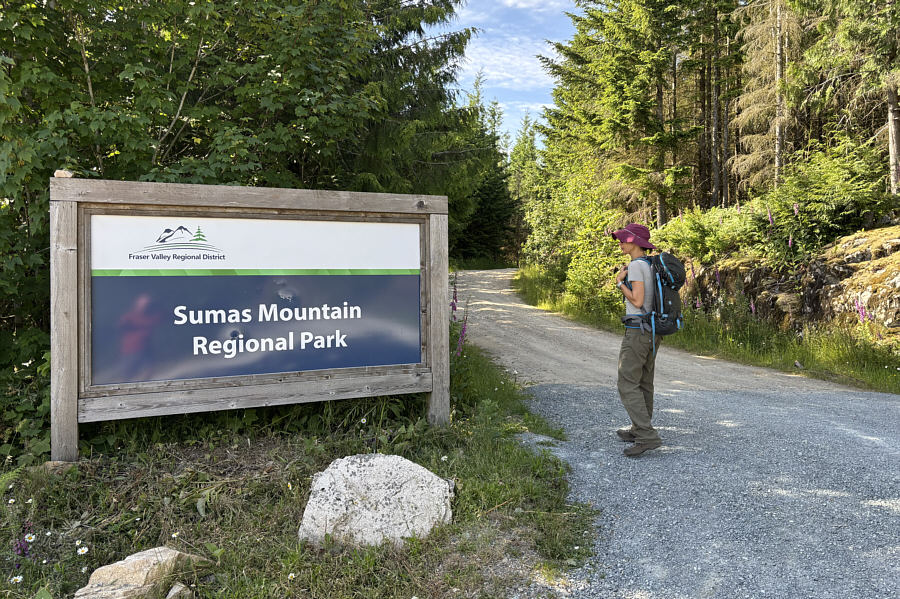 There's supposedly a toilet nearby here, but we did not have to use it.