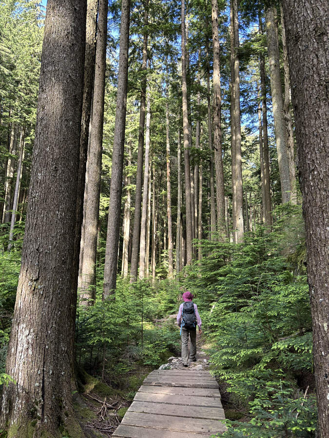 Yeah, the trail is nicer than the road, but the footing can be challenging in some places.