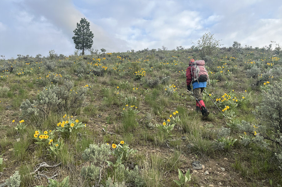Very uplifting flowers!