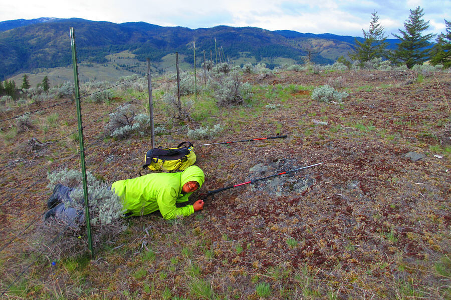 Cue the theme from "The Great Escape"!