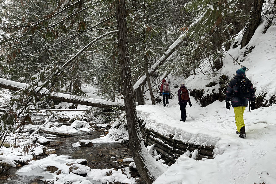 Another winter wonderland!