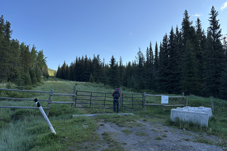 It's interesting to see how much of the road has been reclaimed 20 years after it was closed.