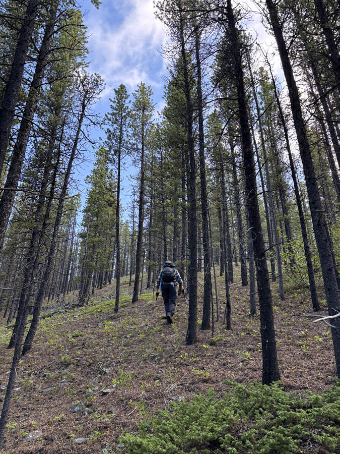 We're actually climbing a subsidiary bump southeast of Ridge 636167.