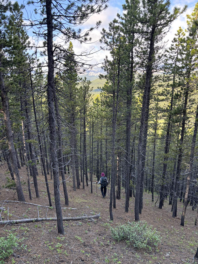 Could almost ski this...almost.