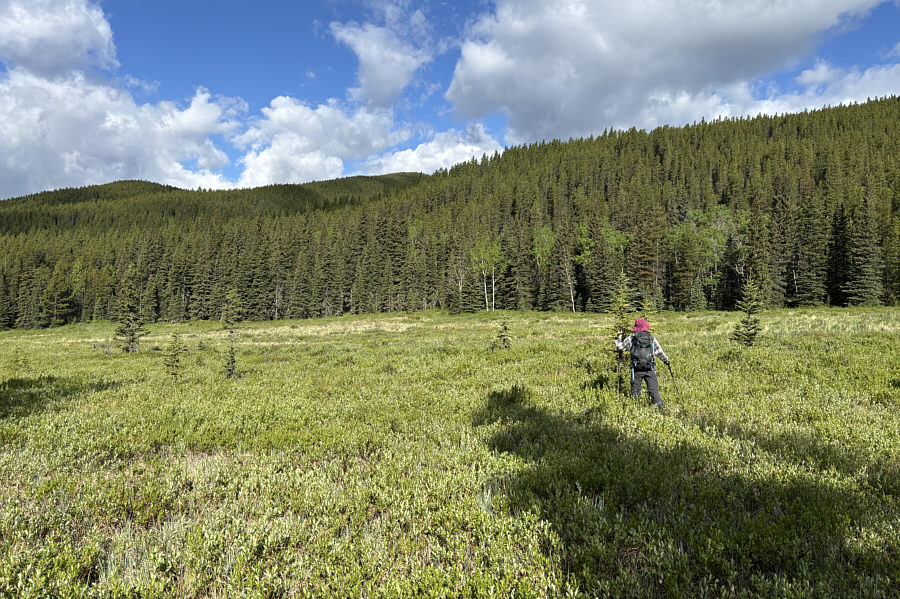 Why are these open areas always wet?