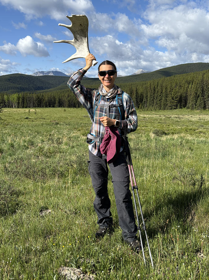 Proof once again that Zosia is an antler magnet!