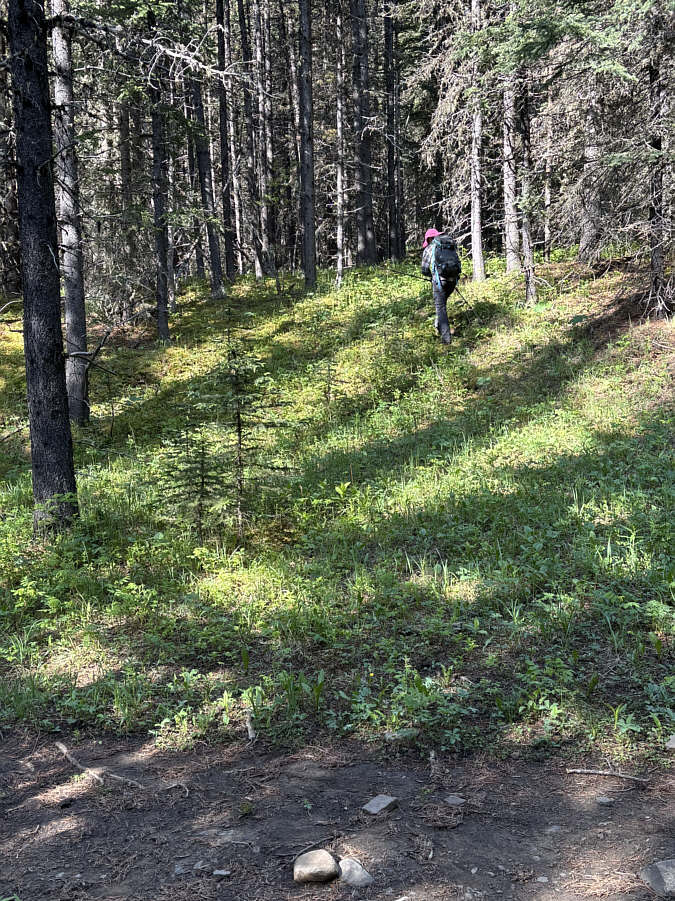 Why are we leaving the trail again?