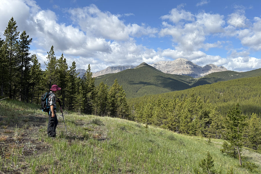 I should re-visit Mount Ware one of these days...