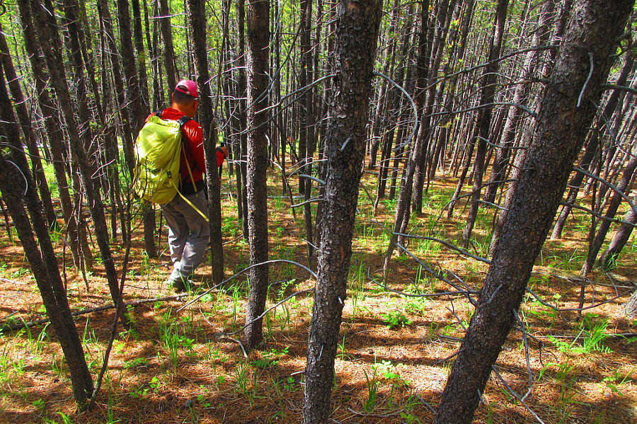 Another potential ski slope in winter?