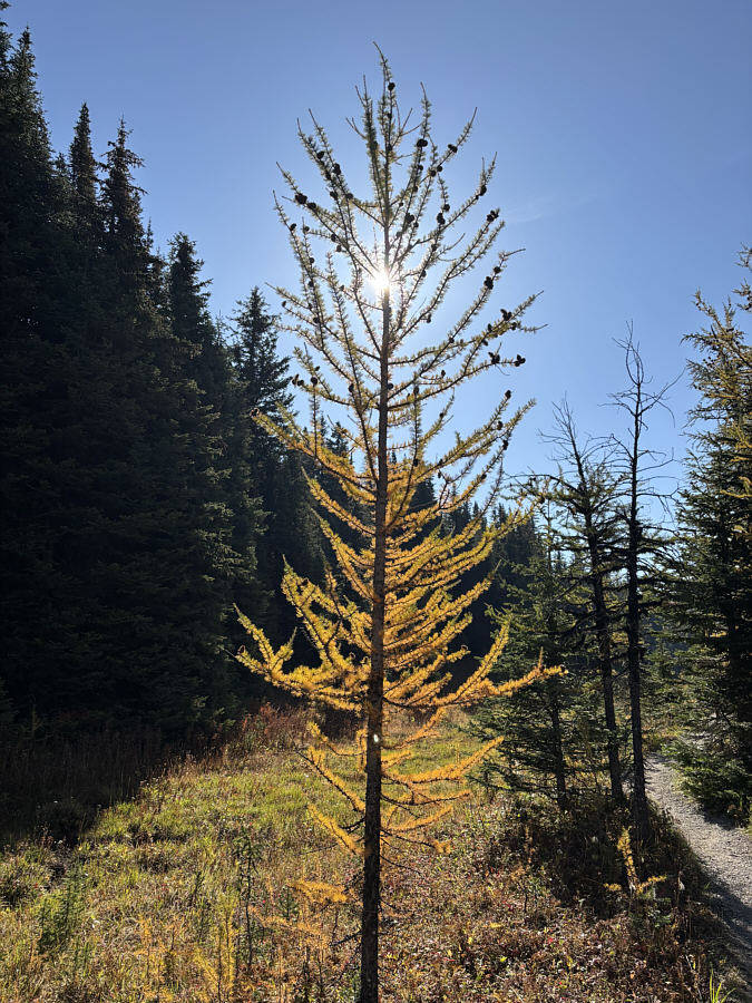 Let's see some more!