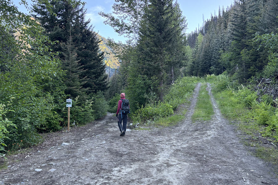 Two roads diverged in a wood, and I--I took the one less traveled by, and that has made all the difference.