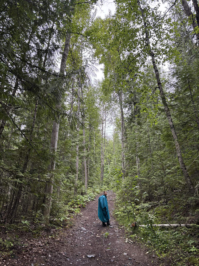 An ideal trail to hike when it's raining.