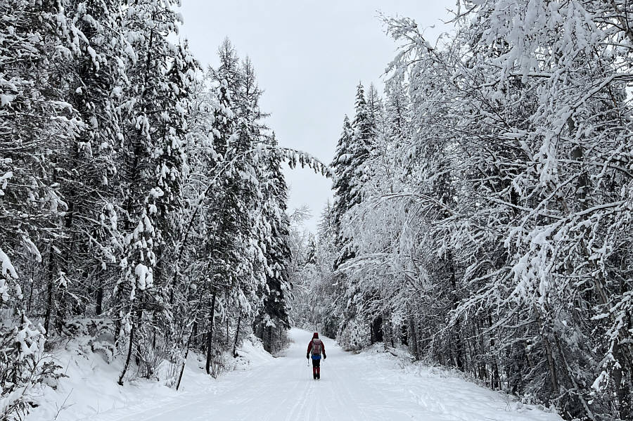 Skiing in a winter wonderland!
