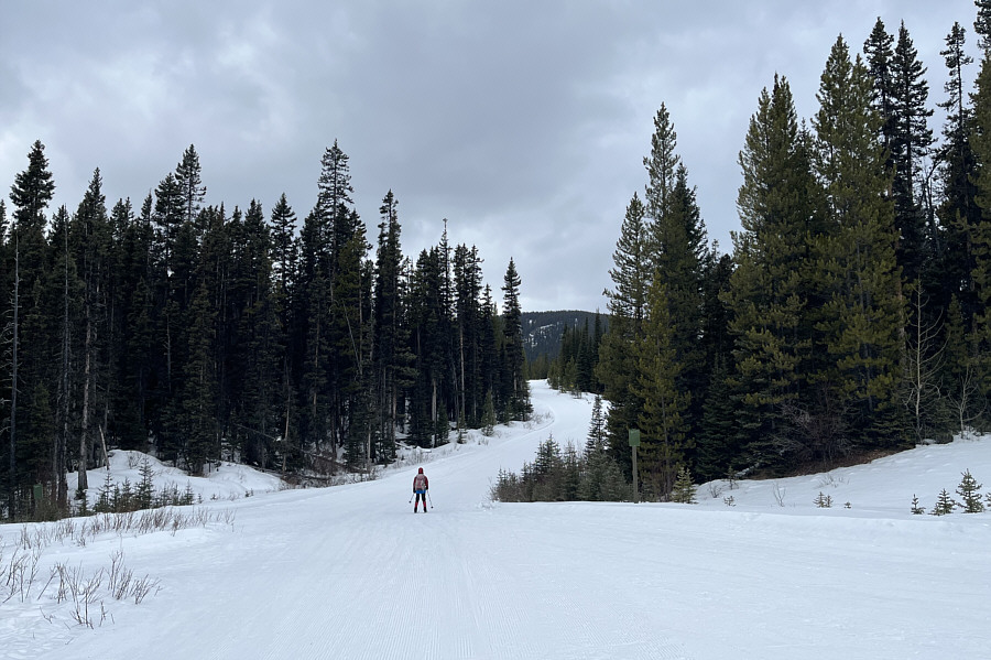 Where did everybody go?