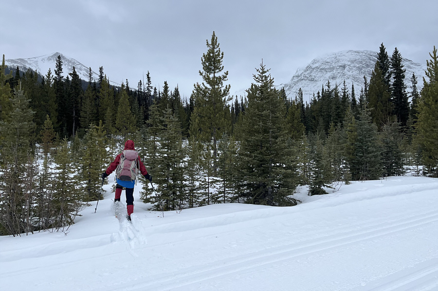 We could have called it quits right here!